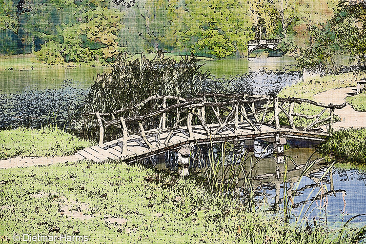 NIKON D800 - 24.0-70.0 mm f/2.8