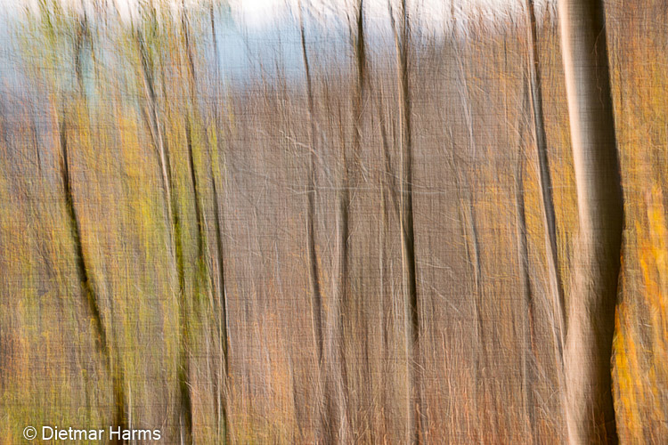 NIKON D800 - 24.0-120.0 mm f/4.0