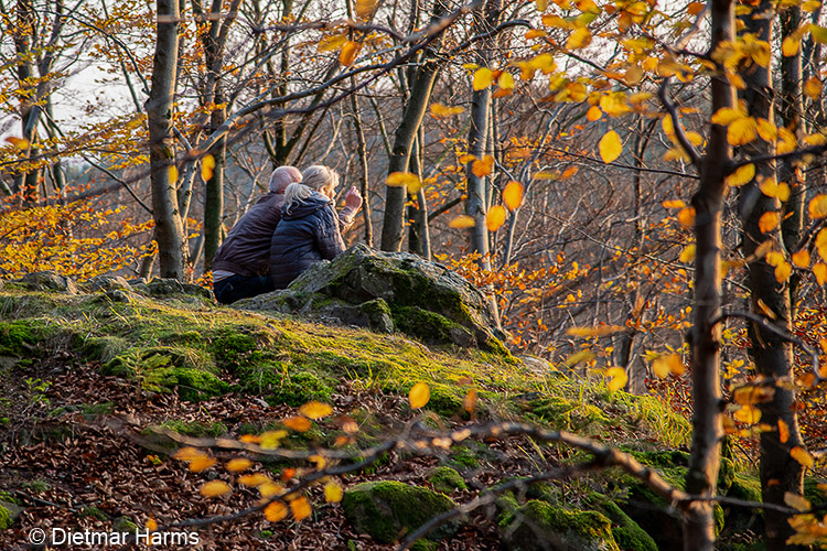 NIKON D800 - 24.0-120.0 mm f/4.0