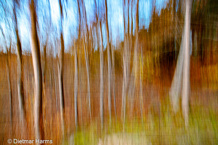 NIKON D800 - 24.0-120.0 mm f/4.0