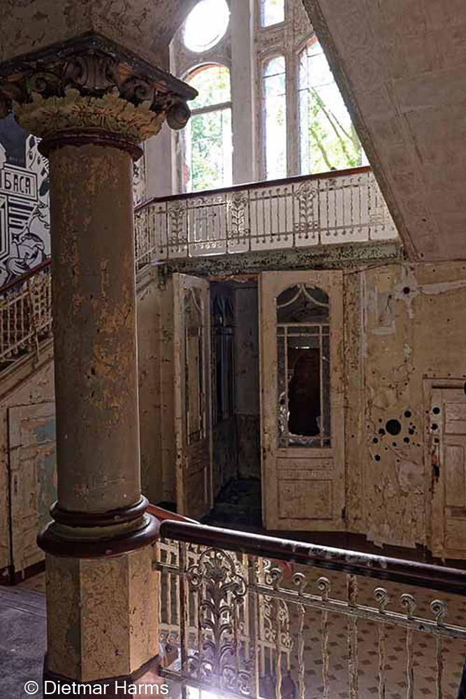 NIKON D810 - 24.0-70.0 mm f/2.8