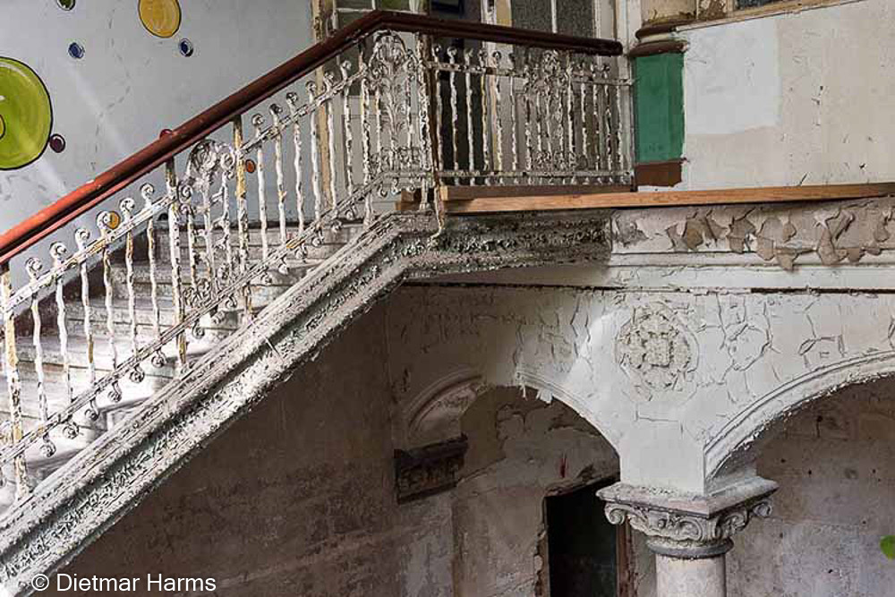 NIKON D810 - 24.0-70.0 mm f/2.8