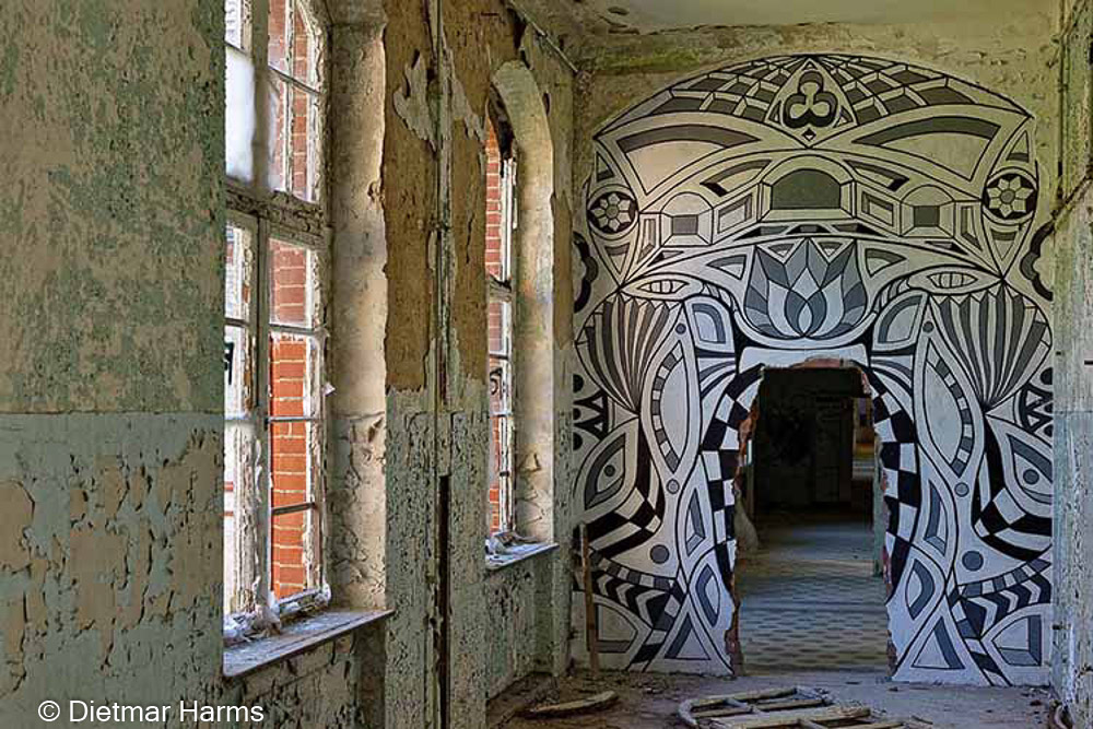 NIKON D810 - 24.0-70.0 mm f/2.8