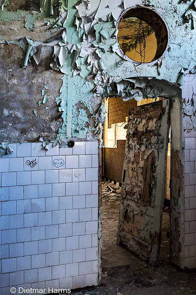 NIKON D810 - 24.0-70.0 mm f/2.8