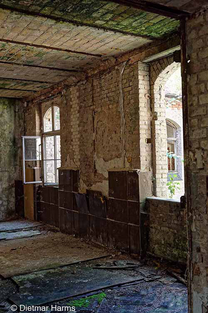 NIKON D810 - 24.0-70.0 mm f/2.8