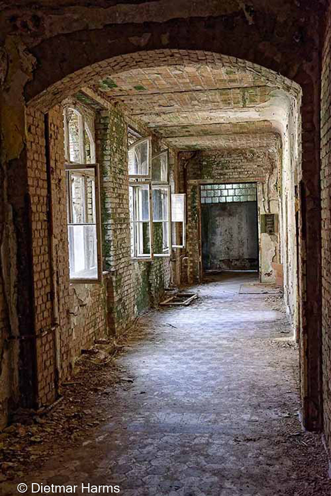 NIKON D810 - 24.0-70.0 mm f/2.8