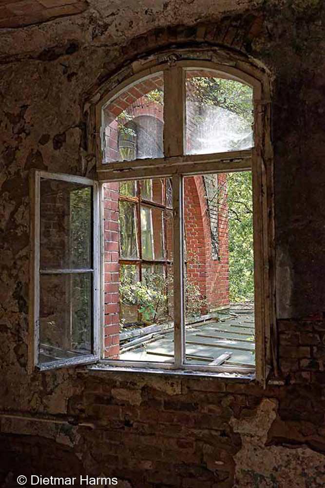 NIKON D810 - 24.0-70.0 mm f/2.8