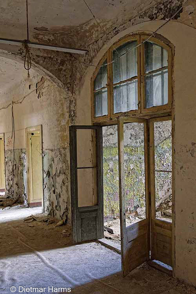 NIKON D810 - 24.0-70.0 mm f/2.8