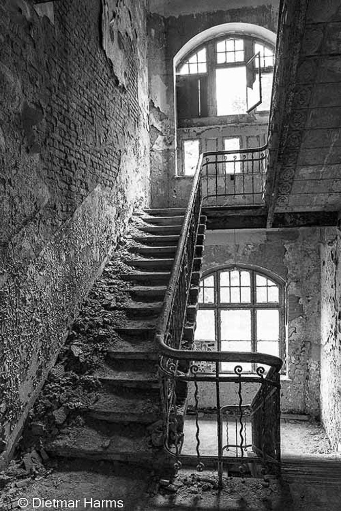 NIKON D810 - 24.0-70.0 mm f/2.8