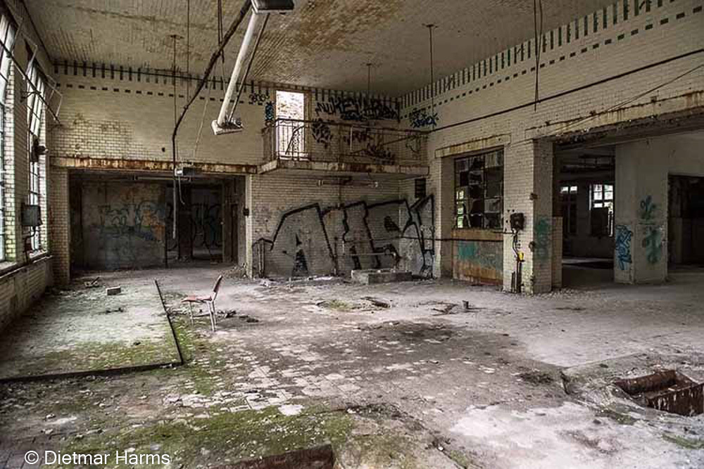 NIKON D810 - 24.0-70.0 mm f/2.8