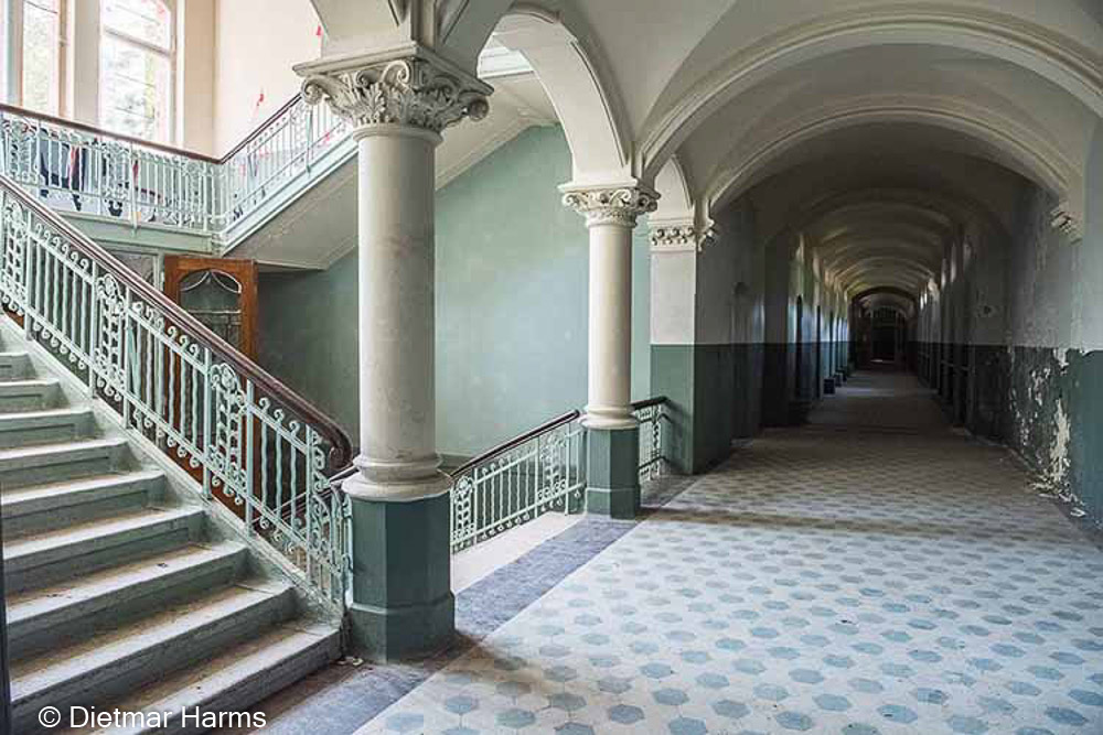 NIKON D810 - 24.0-70.0 mm f/2.8